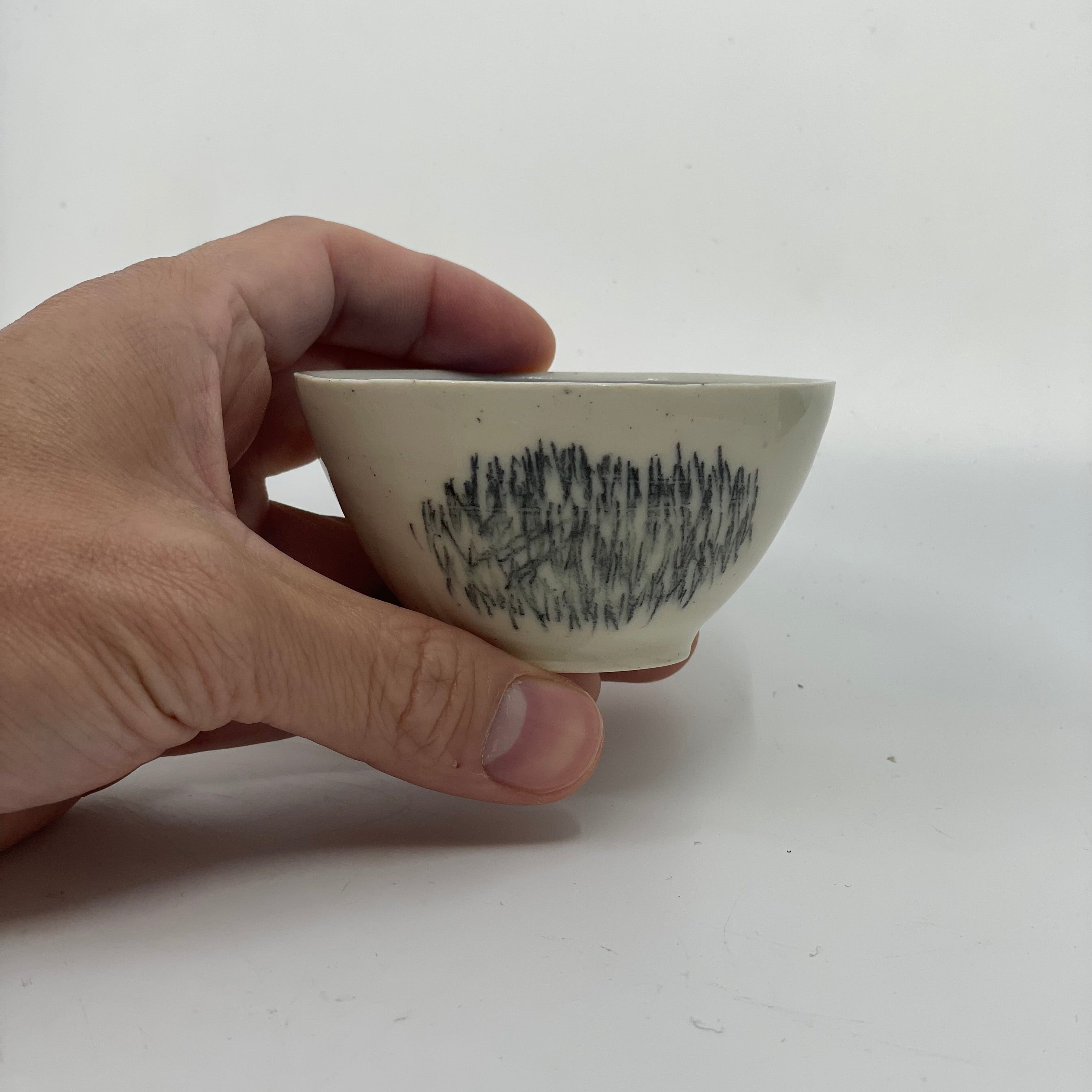 Storm in Tea Cup
