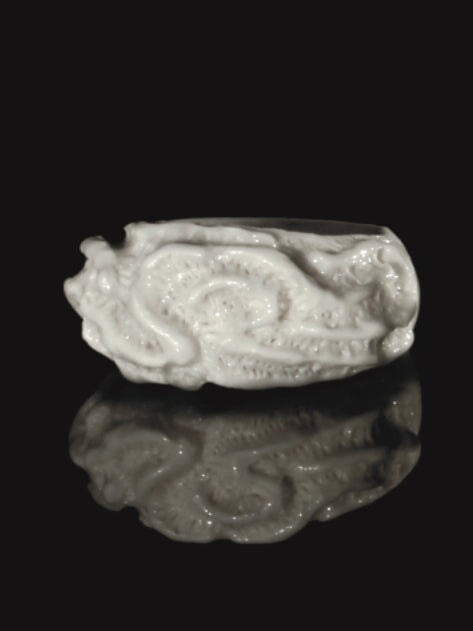 Platygyra Daedalea - Coral Bleaching Rings. Jewellery Rhia Jewellery 
