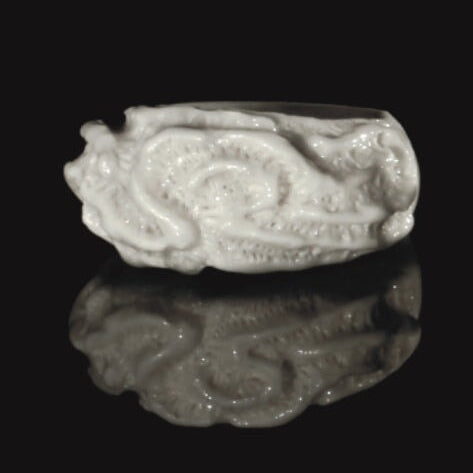 Platygyra Daedalea - Coral Bleaching Rings. Jewellery Rhia Jewellery 