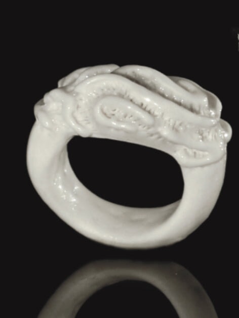 Platygyra Daedalea - Coral Bleaching Rings.