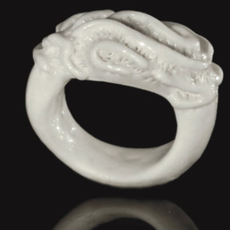 Platygyra Daedalea - Coral Bleaching Rings. Jewellery Rhia Jewellery 