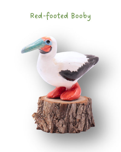 Mini-Bird Series Ceramics Green Bird Ceramics Red Footed Booby 