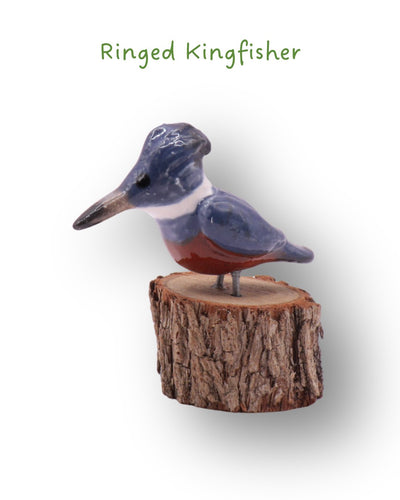 Mini-Bird Series Ceramics Green Bird Ceramics Ringed Kingfisher 