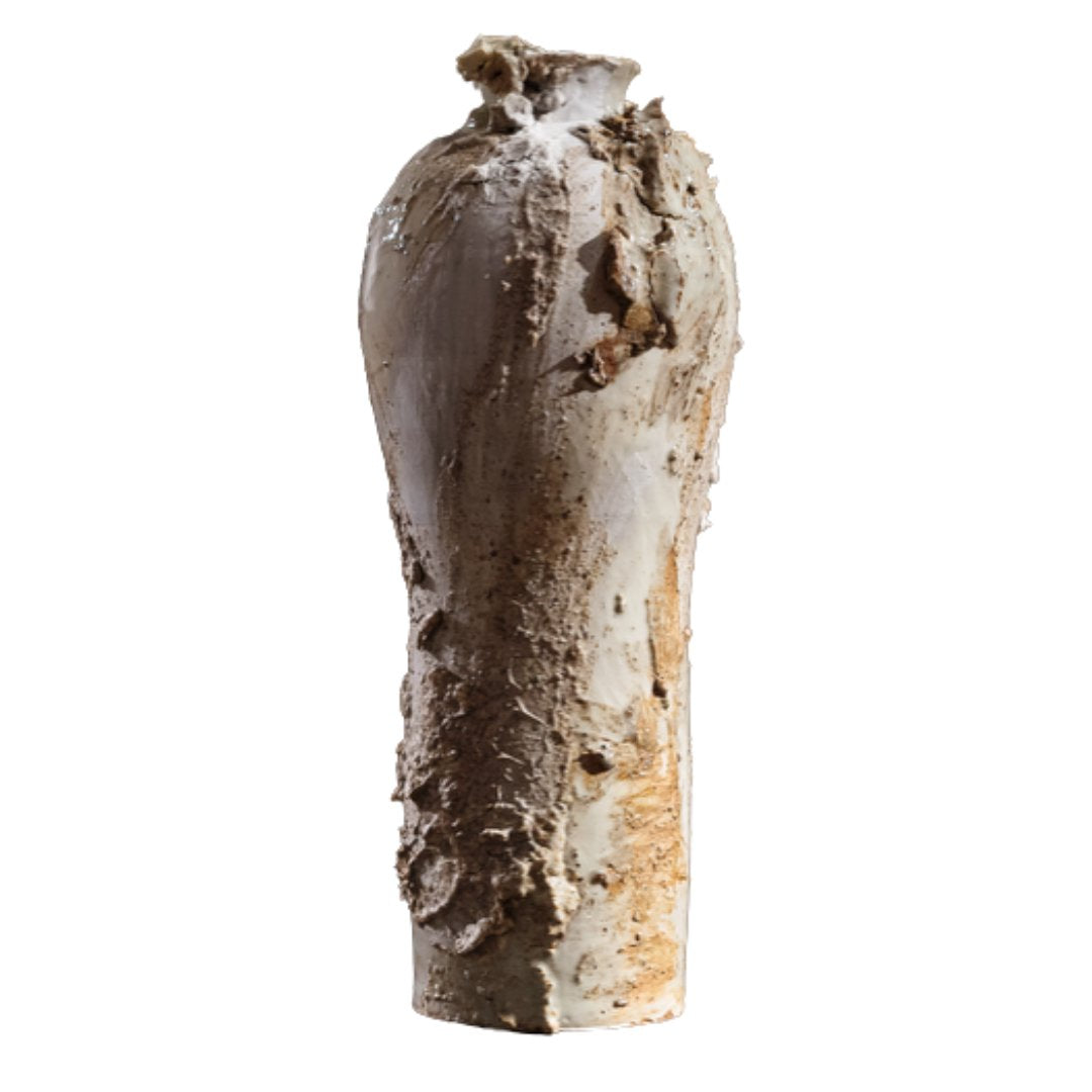 memory's shroud - vessel #17