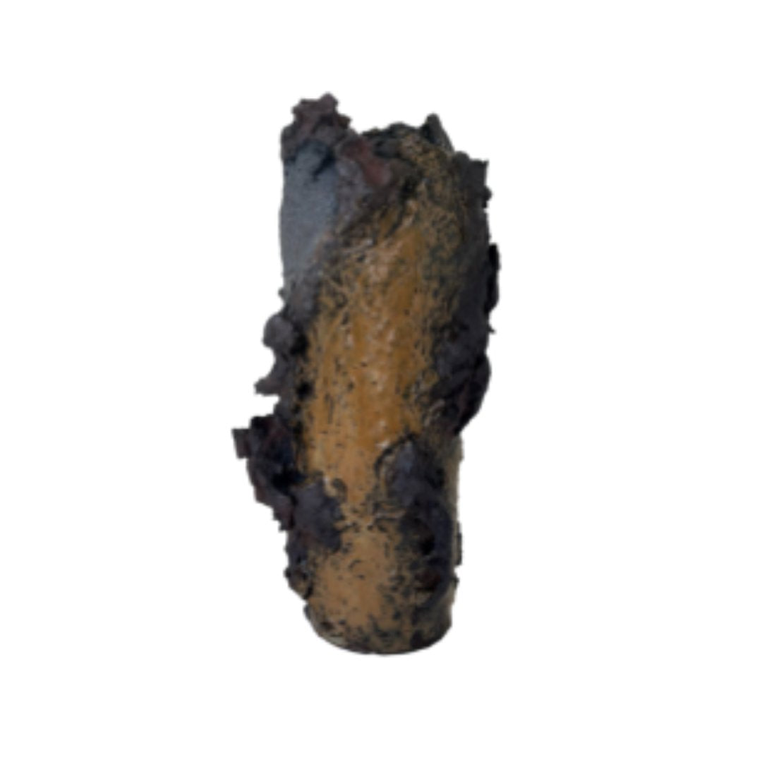 memory's shroud - vessel #29