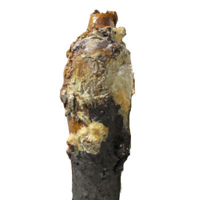 memory's shroud - vessel #4 Ceramics Rachel North 