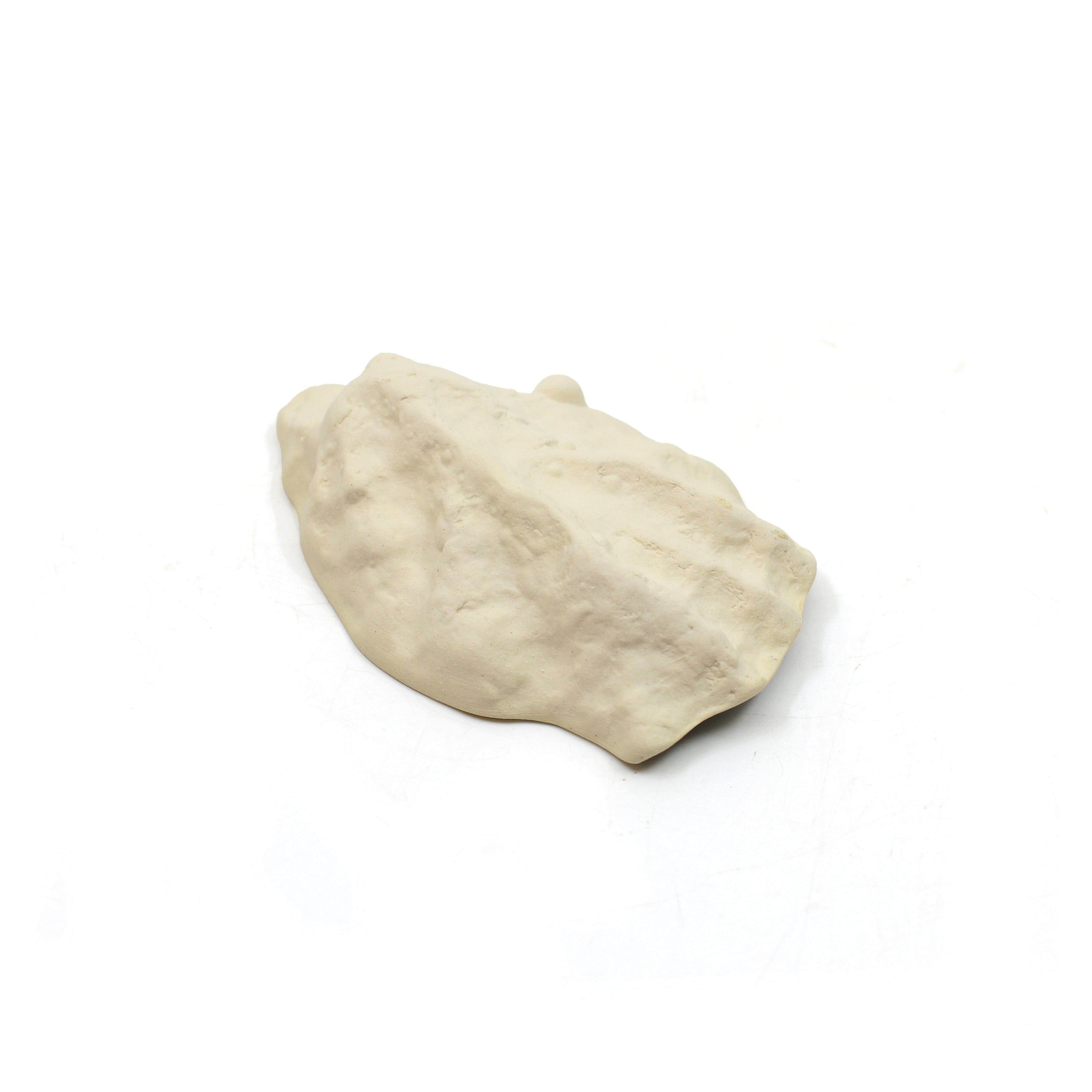 Seashell Dipping Bowl (Small)