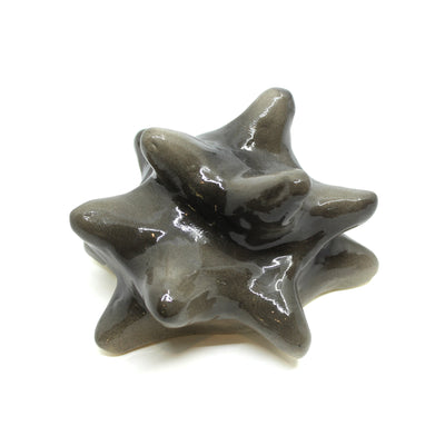 Black glossy starfish Ceramics Minqi Gu 